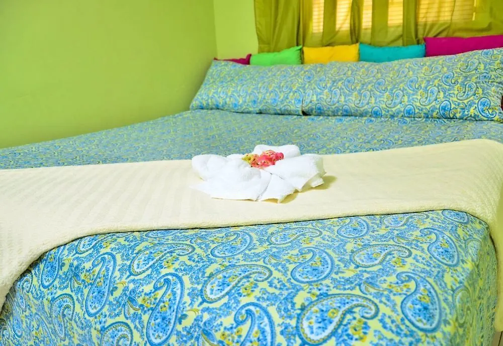 Kingston Sunset Guest Apartment I