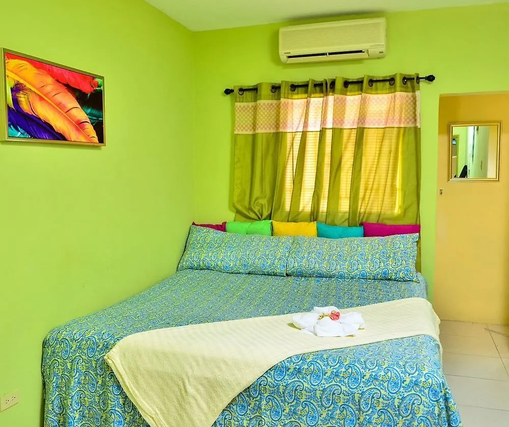 Kingston Sunset Guest Apartment I
